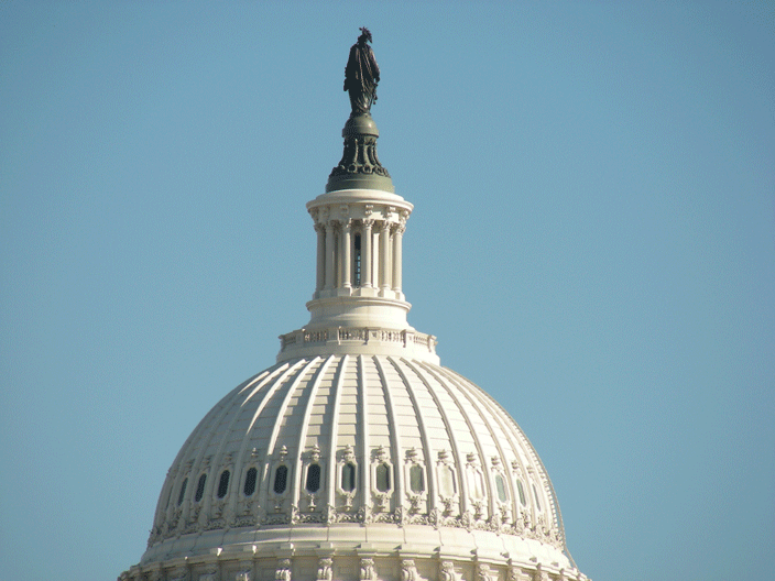 DSCN3191.gif - US Capitol (Nov '08)